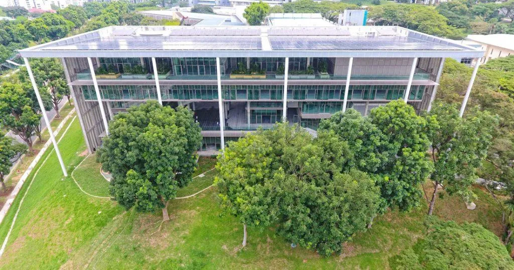 NUS SDE4